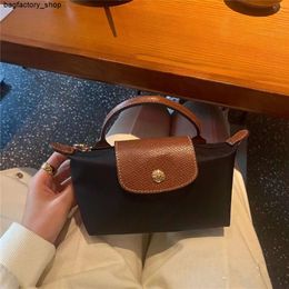 Luxury Handbag Designer Brand Crossbody Bag Shoulder Bag Mini Dumpling Bag Womens Bag Mini Handheld Bag Single Handle Mini BagAS2V