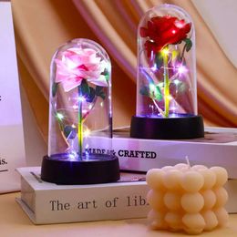 Women Flower Forever Eternal Artificial For Rose In Clear Dome LED Light Up Everlasting Romantic Mothers Valentine's Day Birthday Wedding Gifts ever