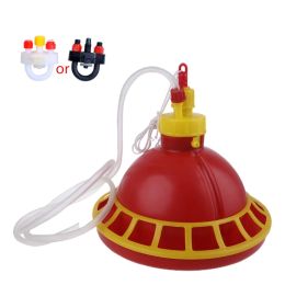 Feeding Chicken Feeder Automatic Water Dispenser for Poultry Feed Multi Chicks At Once