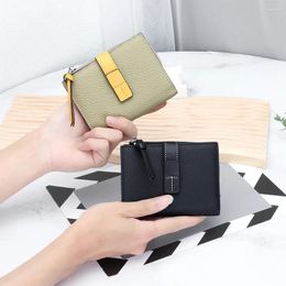 Wallets Small Wallet For Women Bifold Card Holder Genuine Leather With Zipper Coin Pocket Luxury Colorblock Design Short
