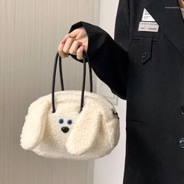 Evening Bags Cute Cartoon Dog Women's Shoulder Bag Faux Lamb Wool Student Girls Clutch Purse Handbags Winter Ladies Furry Crossbody