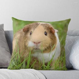 Pillow Guinea Pig Power Throw Sleeping Pillows Bed