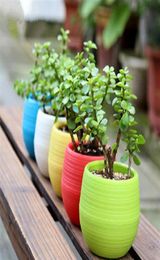 200pcs Gardening Flower Pots Small Mini Colorful Plastic Nursery Flower Planter Pots Garden Deco Gardening Tool a11214x7089413