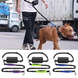 Dog Collars Dual Padded Leads Handles Carry Items Walks Hikes Waist Reflective Running Belt LeashesFor Dogs With Pouch