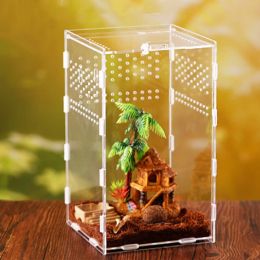 Terrariums Insect Feeding Box Transparent Acrylic Terrarium Container for Spiders Scorpions Reptile for Carrier Box Easy to Assembl