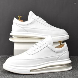 Casual Shoes Men's Leisure White Air Cushion Sneakers Street Style Trend Genuine Leather Shoe Lace-up Spring Autumn Footwear Chaussure