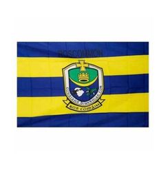 Ireland Roscommon Flag County Banners 3x5 FT 90x150cm State Flag Festival Party Gift 100D Polyester Indoor Outdoor Printed sel4052014