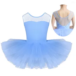 Girl Dresses Kids Ballet Tutu Dress Gymnastics Leotard Girls Sleeveless Mesh Tulle Splice Swan Lake Costumes Dancewear Leotards