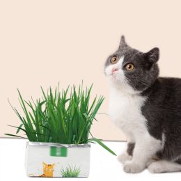 Toys Cat Grass Planting Box Growing Tray Starter Dish Greenhouse Hydroponics Plant Cat Grass Germination Nursery Pot Grow Box