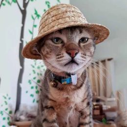 Houses Hawaiian Party Cat Hat Vintage Adjustable Strap Fashion Straw Sun Hat Pet Hats Pet Costume for Cat Dog Pet Clothing Accessories