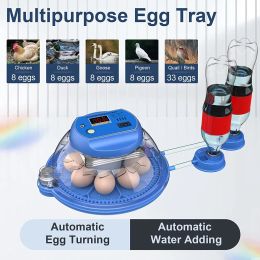 Accessories 8Egg Trays Incubator Automatic Egg Turning Water Adding Farm Poultry Egg Incubators for Hatching Chicken Duck Goose Pigeon Quail