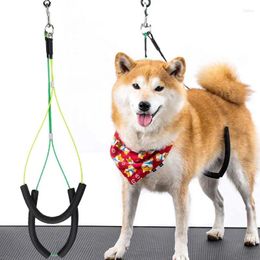 Dog Collars Adjustable Pet Cat Grooming Loop Table Leash D-rings Bathing Strap Traction Belt Collar Harness