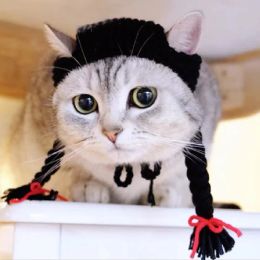 Houses New knitted cat head cover cute girl twist braid head cover pet change hat wig hand knitted funny head ornaments