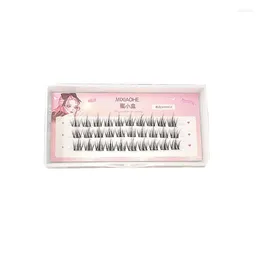 False Eyelashes Fake Soft And Luxurious Fashion Relaxed Style High Quality Materials Casual Asian Tie Interesting