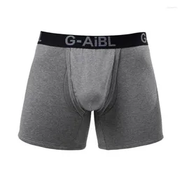Underpants Men's Boxers Shorts Winter Warm Velvet Cotton Underwear Man Breathable Separation U Convex Pouch Male Panties