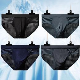 Underpants Men's Ice Silk Underwear Mesh Sexy Male Breathable Thin Panties Large Size Briefs Ropa Interior Hombre