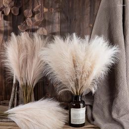 Decorative Flowers Fluffy Pampas Grass Decoration Fake Plant Reed Simulation Home Artificial Flower Arrangement