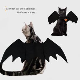 Houses Pet Clothes Halloween Creative Cat, Dog, Bat Wings Transformation Clothing Cat Accessories Pet Pet Items Cat Accessories Pet