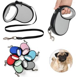 Dog Collars 3m 5m Retractable Leash For Small Medium Dogs Candy Colour Nylon Strong Durable Puppy Traction Rope Chihuahua Pet Supplies