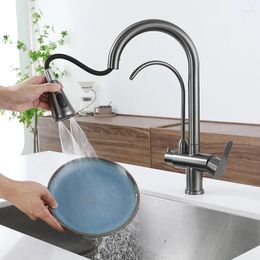 Kitchen Faucets Pull Out Sink With Drinking Water Tap 304 Stainless Steel Gun Grey Taps Multiple Faucet