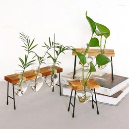 Vases Plant Propagation Stations Wall Hanging Planter Terrarium Station Hydroponic Plants Vase With Stand