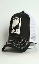 Custom 5 panel curved brim baseball cap good delicate animal embroidery alacran scorpion mesh trucker breathable hat both for men 4278253