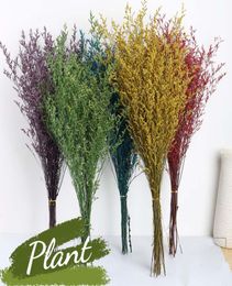 Multicolor Preserved Flower Real Fresh Natural Lover Grass Dried flower DIY Home Decoration Eternell Floral for Wedding Gift LC1718792