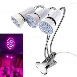 Grow Lights 3 Head Indoor Hydroponics Led Light Plant Lamp For Room Tent Hydro Cultivo Greenhouse Growing U26