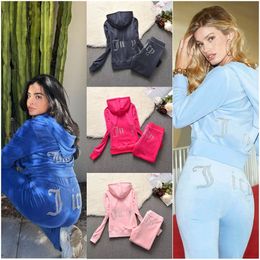 womens tracksuit Autumn Spring Women Sporting Suits Slim Casual Velvet Women Tracksuits Hooded Collar Jogging Sportswear suit tracksuit
