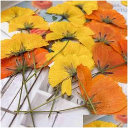 Faux Floral Greenery 12Pcs Dried Flowers Chrysant Natural Pressed Plants For Epoxy Resin Pendant Jewellery Making Craft Diy Nail Art Dh6Qj