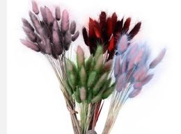 100pcslot Natural Gradient Dried Flowers Bridal Bouquet Easter Home Decorations Rabbit Tail Grass Easter Decorations9647066