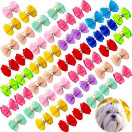 Dog Apparel 10PCS Pet Hair Decoration Candy Coloured Bow Rubber Band With Diamond Cute Cat Accessories Handmade Bulk Products
