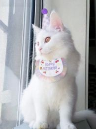 Houses Pet Birthday Bib and Party Hat Cat Puppy Lace Saliva Towel Mini Doggy Bandana Scarf Dog Birthday Dress Up Supplies