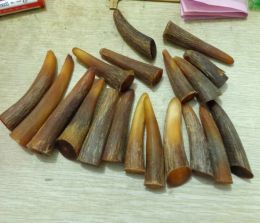 Sculptures Natural Blood Yak Horn Raw Material Smoke Hanger Carved Solid Ox Horn Sharp Knife Handle Material Sculpture Buddha Statue