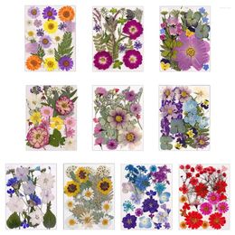 Decorative Flowers 1 Bag Dried Diy Pressed Stickers For Phone Case Jewellery Making Crafts Nail Art Decor