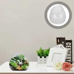 Vases English Title: Slant Cut Bowl Glass Bottles Globe Terrarium Flower Plant Pot Succulent Planter Container