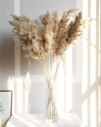 Natural Dried Flowers Pampas Grass Decor Plants Wedding Dry Fluffy Lovely For Holiday Home Party Festival Supplies DHL Ship H8925449