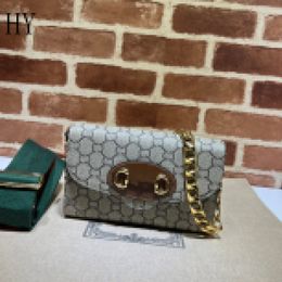 Designer Luxury Mini Bag Shoulder Beige/Dark Brown Ladies 7A Best Quality