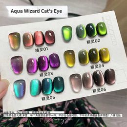 Nail Gel Art Cats Eye 9D Chameleon Aqua 6 Colors Lacquer 6g Tank Colorful Q240507