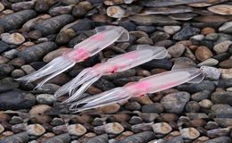 20pcs lot Fishing Squid Lures Soft Trulinoya Fishing soft Lure Sea Fishing Squid Jigs Artificial Bait Soft Lures263t230B6810213