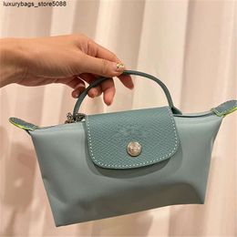 Luxury leather designer brand shoulder bag tote Mini Fashionable Dumpling Bag Versatile Handheld Large Capacity Makeup Small Single Shoulder 1KSGYC4Z8U5LTQRL