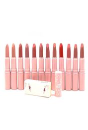 Jenner Lipstick Lippenstifte Matte Sexy Pink Tube Easy to Wear Long Last 12 Colour Whole Makeup Lipstick7205583