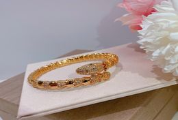 Hot selling product S925 silver plated Python bracelet with zircon inlaid 18K shape classic elegant fashion ball lady Bracelet3374267