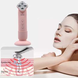 Home Beauty Instrument Homepage RF Invigorate Skin Wrinkle Removal Facial Massage Machine Lifting and Tightening Equipment Q240507