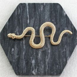 Brooches Fashion Original Women's Brooch Gold Color Metal Snake Suit Clothings Decoration Pin Accessories Gift
