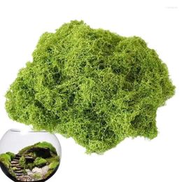 Decorative Flowers Artificial Garden Grass Wool-Like Fake Craft Moss Breathable Colorfast For Making Aquariums Paintings