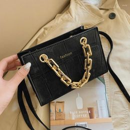 Bag Gold Chain Stone Pattern Leather Crossbody Bags For Women Designer Small Handbags Shoulder Messenger Mini Purses