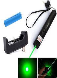 301 Green Laser Pointer Pen 532nm 5mw Adjustable Focus Battery Charger US Adapter Set 3269247