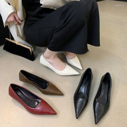 Casual Shoes Korean Women Simplicity Pointed Toe Shallow Pumps Fashion 2024 Temperament Beige 3cm Low Heels Kitten Slip On