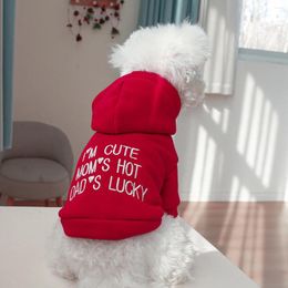 Dog Apparel Cute Letters Pet Clothing Spring Autumn Fancy Hoodies For Small Medium Puppy T Shirt Breathable Kitten York Sweatshirt